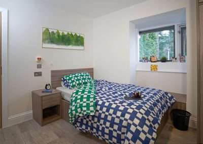 Pinetree Court Hospital Lodge bedroom with a checkered duvet and forest art.